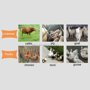 อุปกรณ์ห้องปฏิบัติการสำหรับ <span class=keywords><strong>FEED</strong></span> Mill <span class=keywords><strong>FEED</strong></span> Mill ธัญพืชเครื่องบดอาหารเม็ดเครื่อง - Product Image 2