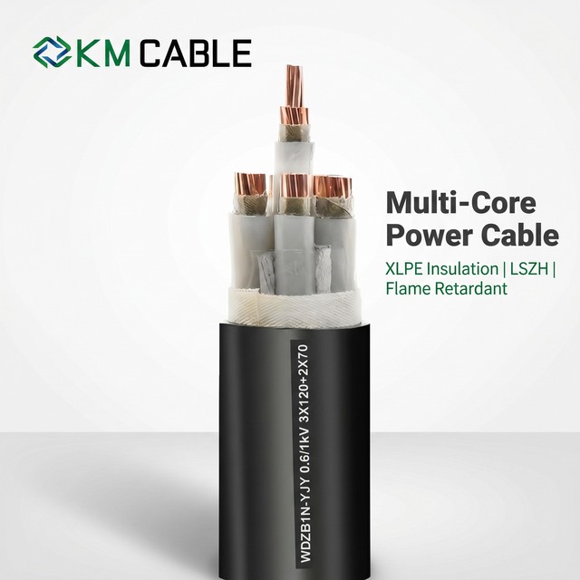 Multi Core XLPE Insulated LSZH Flame Retardant Power Cable 0.6/1kV Copper Conductor