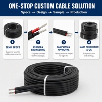 Kabel Surya PV EN50618 Bersertifikasi CE 6mm2 Twin Core 1500V DC Tembaga Berlapis Timah Tahan Api untuk Kontraktor, Sumber OEM, Pasokan