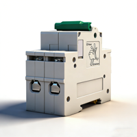 HANDELE HDSCB-II40 2P 40kA Interruttore Differenziale con Protezione da Sovratensioni 230V/400V SPD con Certificazione CE