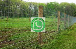 ลวดตาข่ายเหล็กแบนชุบสังกะสีแบบม้วนลวดเชื่อมแบบ4ft - Product Image 4