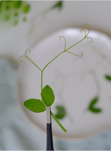 Hạt đậu nho scrapbooking nhựa Epoxy thực vật tự nhiên ép hoa DIY - Product Image 3