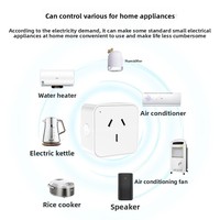 Prise intelligente Tuya WiFi avec commande vocale, programmation à distance, prise connectée Zigbee compatible avec le micrologiciel ESP32-C3, prise intelligente pour hôtel, bronze phosphoreux AC