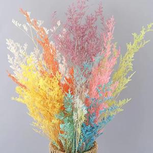 Venta al por mayor blanqueada San Valentín amante hierba para decoración del hogar Ramos para Pascua y Halloween ocasiones limonio conservado - Product Image 2