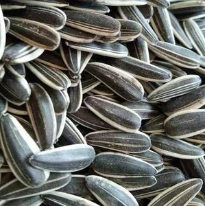 Venta caliente chino no GMO alta calidad buen <span class=keywords><strong>precio</strong></span> orgánico crudo semillas de girasol - Product Image 5