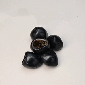 Venta al por mayor de cáscaras de fruta de chacha negra natural seca a granel, materiales crudos para manualidades DIY y la fabricación de campanas de viento - Product Image 1