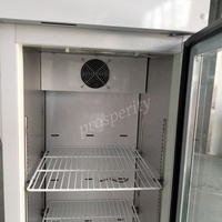Armoire de Fermentation Commerciale 110L pour Yaourt, Machine à Yaourt à Refroidissement par Air, Réfrigérateur pour Laiterie, Restaurant, Boulangerie