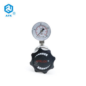 Regolatore di <span class=keywords><strong>Gas</strong></span> a Diaframma Monostadio di Alta Qualità Montabile su Pannello con Connessione 1/4 NPT in Acciaio Inossidabile - Product Image 1