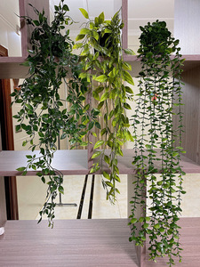 LY Home Room Decor Artificielle en Pot Verdure <span class=keywords><strong>Faux</strong></span> Eucalyptus Vigne Fougère Pothos <span class=keywords><strong>Lierre</strong></span> en Pot Herbe Verte Type Plante - Product Image 3