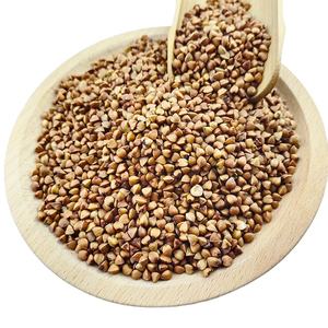 高品質のタンパク質とカルシウムが豊富なローストそばカーネル - Product Image 1