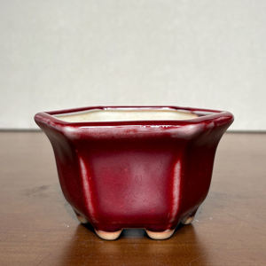 थोक छोटे सिरेमिक पौधे फूलों के बर्तन इनडोर आउटडोर बगीचे के उपयोग के लिए व्यावहारिक चमकदार फिनिश - Product Image 5