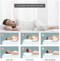 Coussin hp de qualité supérieure 1000g, oreiller en peluche, Fiber supérieure, 100%, respirant, couverture en coton, respectueux de la peau