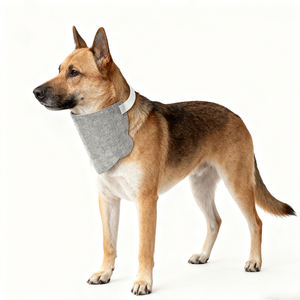 Produk Anjing Terlaris 2026 Bib Anjing Sekali Pakai Anti Bocor Bib Anjing Mewah yang Sedang Tren - Product Image 1