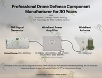 Module d'amplificateur de puissance personnalisable 20 MHz-20 GHz pour systèmes anti-drone, amplificateur de puissance 1W-1000W