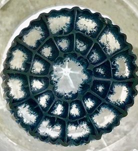Biofiltros de bola flotante K1 de plástico bio mbbr para acuicultura - Product Image 5