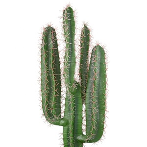 Phong cách mới cây bonsai cây nhựa cây lớn cây xương rồng nhân tạo cho Patio trang trí - Product Image 5