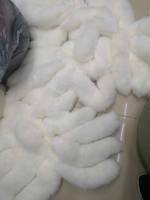 Vente en gros d'usine : Queue de renard véritable 35-45cm, queue de renard moelleuse en fourrure animale pour accessoires de décoration, porte-clés en fourrure de renard naturelle