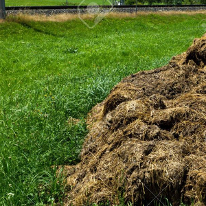 Phân bón hữu cơ đất hữu cơ 2025 Phân bón hữu cơ tốt nhất cho rau - Product Image 6