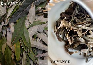 KAIYANGE Vente <span class=keywords><strong>en</strong></span> gros de thé fermenté à base de roseau de mer, de <span class=keywords><strong>saule</strong></span>, de feuilles de <span class=keywords><strong>saule</strong></span>, de thé Ivan, de feuilles de feu d'artifice, de thé Ivan Chai, de thé Kapor - Product Image 5