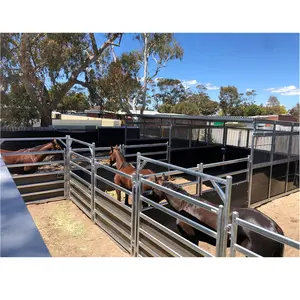 Australia Standard Galvanized Metal livestock equipment