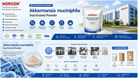 Ingrédient Probiotique Lyophilisé Akkermansia Muciniphila AKK de Nouvelle Génération en Capsules et Comprimés – Fabricants OEM Disponibles