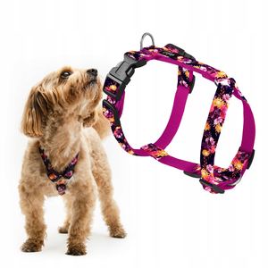 Arneses Protectores Cómodos Ajustables Para Perros Pequeños Chaba Marigold Talla S - Product Image 1