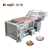 XINLONGJIA Boulette De Viande De Poulet 15/20mm Diamètre Boule De Poisson Faisant La Machine/Boulette De Viande De Porc Produit Ligne