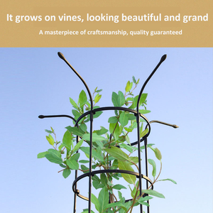 Nouvelle structure de soutien pour plantes grimpantes de type parapluie, pour roses, clématites, cage à tomates de 14 mm de diamètre pour plantes <span class=keywords><strong>en</strong></span> <span class=keywords><strong>pot</strong></span> grimpantes - Product Image 2