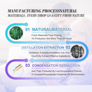 Label privé Organic100 % pure huiles essentielles naturelles de romarin et de menthe huile essentielle de feuilles de <span class=keywords><strong>Rose</strong></span> <span class=keywords><strong>Mary</strong></span> pour cheveux - Product Image 6