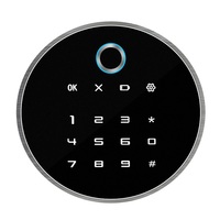 Wasserdichter Diebstahlsicherer Zinklegierung-Fingerabdruck-Biometrie-Passwort-Tresor, Waffenschrank mit Anpassungsmöglichkeit