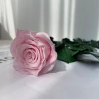 Lovebay Valentijnsdag Enkele Rozen Voor Altijd Roos Met Stengel Lange Stengel Eeuwige Echte Eeuwige Bewaarde Rozen Met Stengel