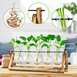 Nueva Estación de Propagación de Escritorio para Jardín, Maceta de Cristal con Soporte de Madera, Terrario Cilíndrico, Florero con Bombilla de Aire - Product Image 3