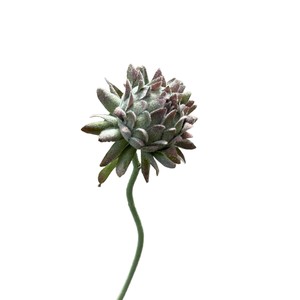 Fleur artificielle en soie de tisane floquée simulée Mishu Crafts, couleurs mélangées, pour décoration intérieure et mariage - Product Image 5