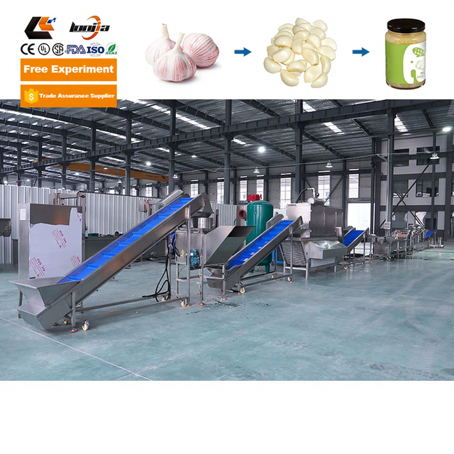 XINLONGJIA High Speed Drying Peeling Whole Processing Line Ginger Onion Garlic Powder Making Machine Motor 304 Stainless Steel