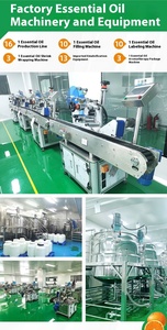 Tinh dầu khuynh diệp, thích hợp cho máy khuếch tán, Máy tạo độ ẩm, da và tóc-XÀ PHÒNG tự làm - Product Image 4