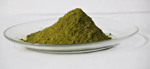 Cassia Angustifolia Senna Pods <b>Extract</b> Powder Spray Dried & Tray Dried Premium Botanical Plant <b>Extract</b> Bulk Supplier India - Product Image 3