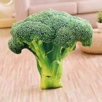 Jouets en peluche super doux en forme de fruits et légumes en 3D avec rembourrage en coton PP