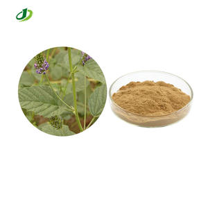 Extrait naturel de Fructus Psoraleae, extrait d'herbe Notopterygium Incisum Ting <span class=keywords><strong>Ex</strong></span> H. T. Chang 20:1 - Product Image 1