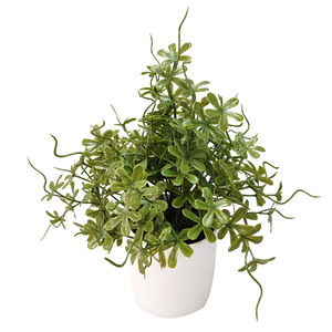 Vente en gros Décoration intérieure Plante artificielle séchée Eucalyptus Fleur séchée en pot Immortel Feuille d'eucalyptus artificielle Bonsaï Plante - Product Image 2
