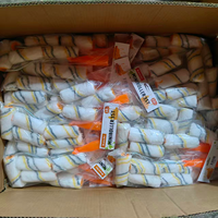 Stok Pabrik China Siap Kirim 4*16 Mini Thumb Roller Cat Rol Cat dengan Penutup untuk Dekorasi Rumah