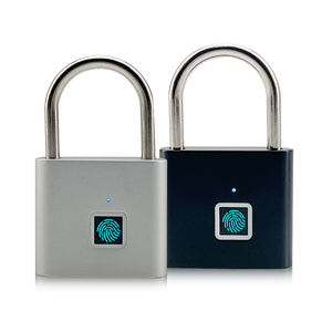 SLS Material inteligente de aleación de Zinc, bloqueo inteligente antirrobo, sin llave, huella dactilar y cadeno electrónico para Home Hotel RV - Product Image 1