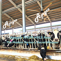 Ventilateurs de plafond HVLS géants pour écuries de chevaux, sans entretien et avec garantie de 3 ans