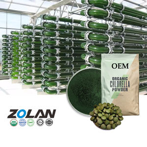 Comprimés de chorella en vrac en gros de poudre de chlorella organique de haute qualité de Pure Natural 100% - Product Image 1
