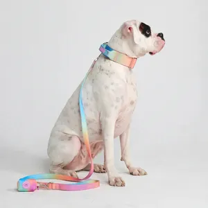 Custom Gradient Colour Nylon Dog Leash 1.5m Handle Anti Strangulation Personalised Dog Leash Outdoor Travel Dog Walking Leash