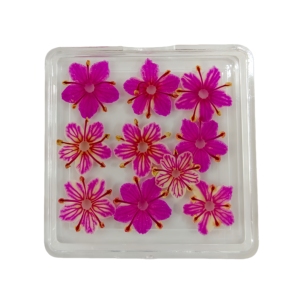 Vente flash Fleurs séchées originales pour l'art des ongles Fleurs séchées pressées pour l'artisanat en résine Vraies fleurs pour les ongles - Product Image 2