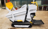 Mini-Raupenlader Benzinbetriebener Hydraulischer Kettendumper Baustellen-Minitransporter