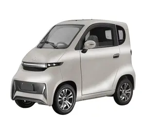 4 Wheel Enclosed Electric Cabin Scooter Car 2 Seater Eec Certification Mini Car Electric Adult 1500w