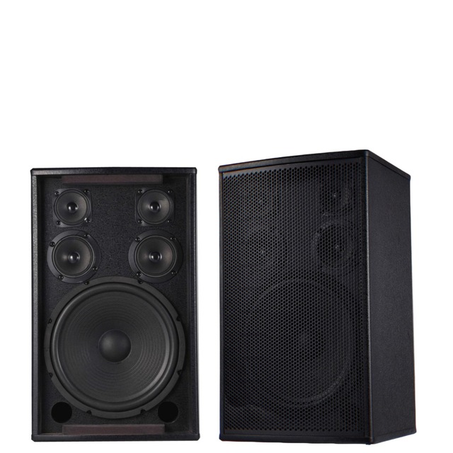 12inch Professional KTV Conference Spray Paint Speaker High Power Karaoke Home Passive Subwoofer Without Battery ST12 Model