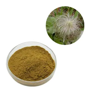 Factory Supply Natural Chinese Saponin D Radix Pulsatilla Root Extract