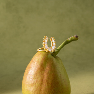 Horseshoe <b>Ring</b> Mother Of Pearl Inlay <b>Titanium</b> Steel Unisex Fashion Jewelry Gift - Product Image 4